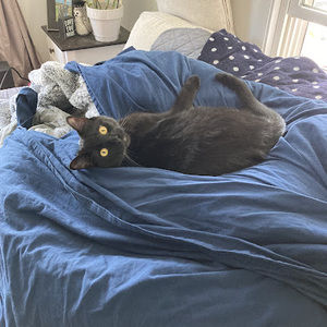 Meet your Posher, Rosslyn